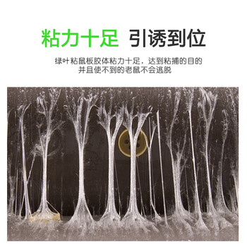 绿叶 粘鼠板 20片/盒 老鼠贴捕鼠家用老鼠（神枪手）