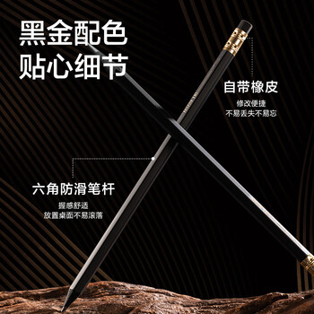 纽赛（NUSIGN）日耀金山轻奢六角杆皮头铅笔 绘画考试美术生素描礼物 10支NS729-2B【热门商品】得力旗下高端品牌