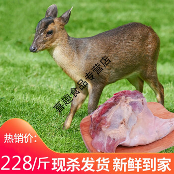 黄麂肉麂子肉深山养殖黄麂肉黄猄后腿肉山麂肉