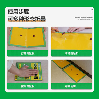 绿叶（Green Leaf） 粘鼠板 家用粘老鼠贴精装粘鼠板（活力型）50片整箱装