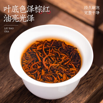 音朗 茶叶黑茶 广西六堡茶2012年陈化十年窖藏陈香茶叶礼盒送长辈300g