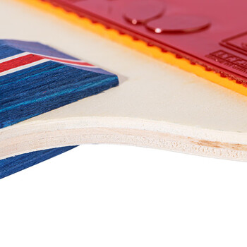 蝴蝶（BUTTERFLY）S2乒乓球拍入门单拍含拍套 直拍/短柄双面反胶