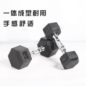 达训易 哑铃 六角包胶哑铃套装  臂肌练专业健身器材 30kg/只