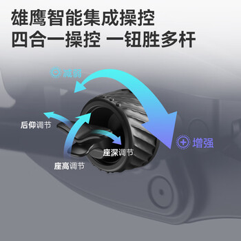 Ergonor保友优b雄鹰 人体工学椅电脑椅 久坐舒适办公椅电竞椅子 银白网