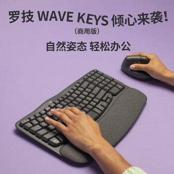 罗技（Logitech）WAVE KEYS 人体工学键盘 无线蓝牙键盘 配备软垫掌托 - 石墨黑（商用版） 99键