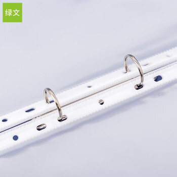 绿文 A3透明大文件袋11孔活页资料袋文件袋a3替芯袋保护袋8K图纸保护膜学生用海报画纸试卷收纳作品袋