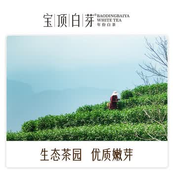 宝顶白芽年份白茶 白毫银针茶叶礼盒一级50g 教师节礼物45003