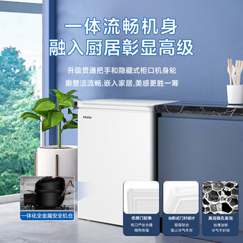 海尔（Haier）100L单温冰柜小型家用小冰柜冷藏冷冻两用转换深冷冷柜小冰箱减霜一级能效BC/BD-100GHDT