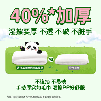 清风 湿厕纸60片/包 便携抽取式家庭装擦屁屁专用熊猫款 