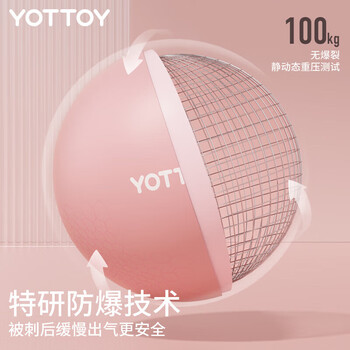yottoy普拉提小球瑞士瑜伽球迷你25cm塑形蜂腰翘臀健身体操运动平衡球女 yottoy普拉提小球瑞士瑜伽球迷你25cm塑形蜂腰翘臀健身体操运动平衡球女