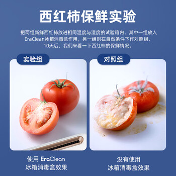 世净 冰箱除味消毒器 杀菌保鲜净化空气 小巧便携除臭除异味神器 CW-B01-鎏金白