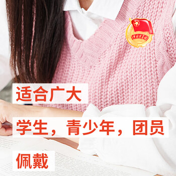 欧唛（oumai） 共青团团徽 胸章标准款 别针磁扣款 学生团员团徽 5枚装 团徽2CM别针款