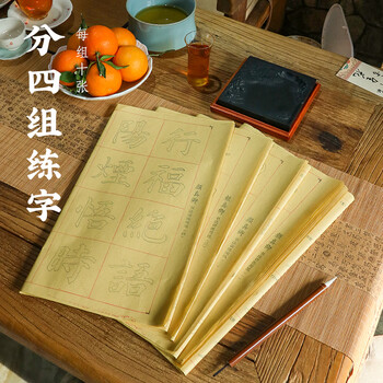 一海堂文化 毛笔字帖宣纸9厘米*28格颜真卿双色描红颜体楷书入门初学毛笔米字格描红毛边纸 40张/包