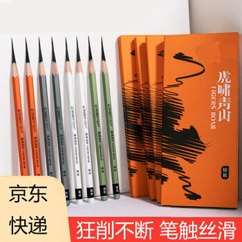 空色炭笔素描铅笔软炭美术生专用笔黑硬炭笔速写绘画工具初学者学生套装碳素画笔10支/盒美术写生