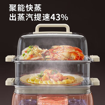 九阳（Joyoung） 电蒸锅 家用10L小型一体多功能锅 双层不锈钢电蒸笼 蒸馒头包子电锅 DZ80HG-GZ118