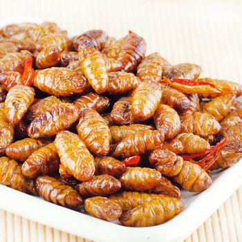 零食>虎钢馋>虎钢馋山东特产香酥蚕蛹酥脆即食蚕蛹醇香茧蛹子五香蚕蛹