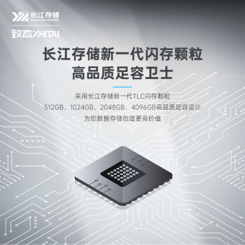 致态（ZhiTai）长江存储 4TB SSD固态硬盘 NVMe M.2接口 TiPlus7100系列《黑神话:悟空》官方合作品牌