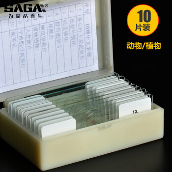 萨伽（SAGA）生物显微镜标本切片套装载玻片盖玻片植物动物昆虫细胞儿童实验 10片装