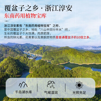 同仁堂（TRT）覆盆子茶男性滋补饱满大颗粒树莓泡水泡酒复盆子茶
