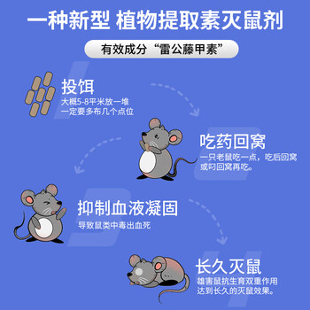 地依猫老鼠药灭大小 老鼠家用耗子高效捕鼠颗粒窝杀鼠剂神器130g