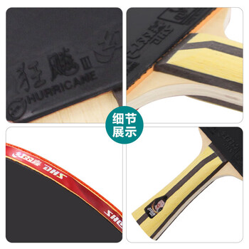 红双喜四星狂飚3四星级乒乓球拍比赛成品拍附球包乒乓球(H4星横对拍）