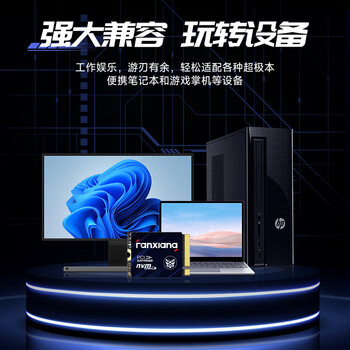 梵想（FANXIANG）1TB SSD固态硬盘 M.2接口NVMe协议PCIe3.0 2230小尺寸规格 电脑游戏机扩展硬盘S532
