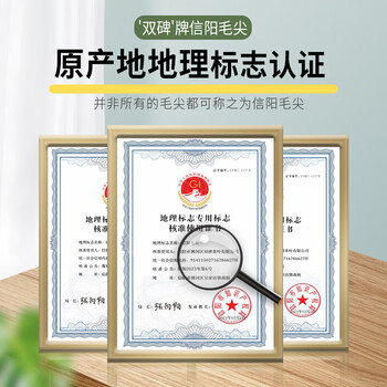 双碑绿茶信阳毛尖特级180g2026年明前新茶茶叶小罐高档礼盒装送礼送人