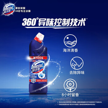 蓝多霸（DOMESTOS） 清洁剂 长效洁厕啫喱沧海星光香(2X600G)*3瓶 持久留香去垢