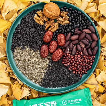 想真远方好物有机黑五宝粉240g代餐粉抗饿饱腹早餐即冲即食粥8条便携