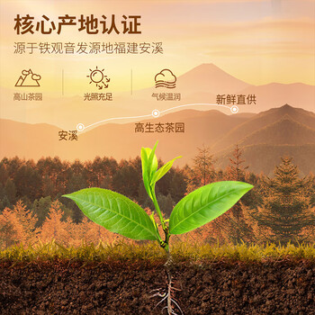 忆江南特级铁观音茶叶礼盒送人500g乌龙茶送父母长辈的礼物新天尊