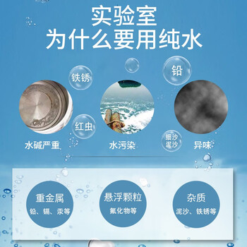 恩谊 超纯水机实验室纯水仪化水机ro反渗透去离子水设备学校净水器 UP-10L二级水