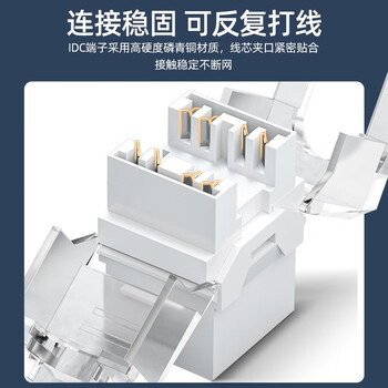 山泽 网络模块 六类千兆【免打线】金50u加厚非屏蔽工程级镀RJ45水晶头母座电脑网口插座面板连接头 MDK650
