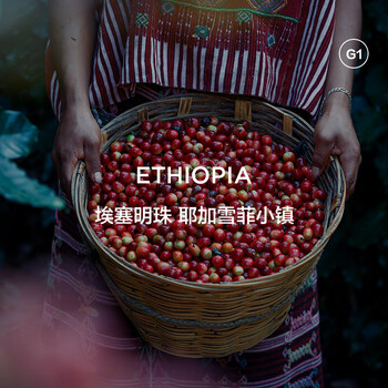 CAFFE MARYLING埃塞俄比亚耶加雪菲精品咖啡豆手冲冷萃新鲜中度烘焙罐装150g