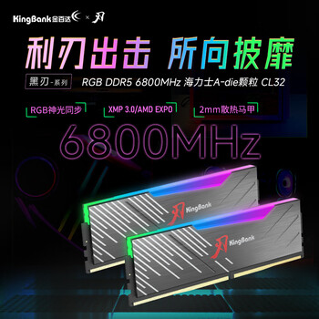 金百达（KINGBANK）32GB(16GBX2)套装 DDR5 6800 台式机内存条海力士A-die颗粒 黑刃RGB灯条 C32 Deepseek硬件
