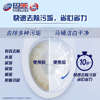 蓝多霸（DOMESTOS） 清洁剂 长效洁厕啫喱冰川山泉香600G 清洁去垢 长效留香