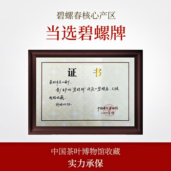 碧螺2026春茶绿茶苏州洞庭碧螺春原产东山茶一级3S50g明前新茶罐装