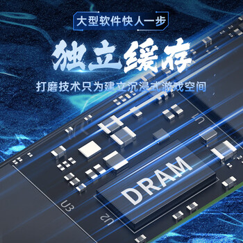 梵想（FANXIANG）2TB SSD固态硬盘 M.2接口NVMe协议PCIe4.0 TLC颗粒独立缓存 电脑PS5扩展盘 AI存储配件 S790MAX