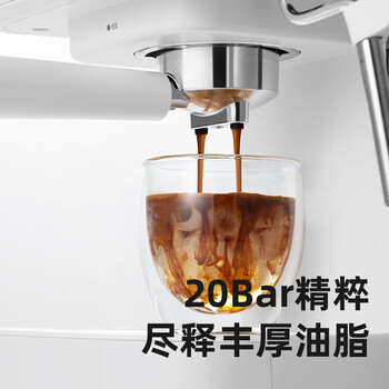 柏翠（petrus）意式压力咖啡机 智能自动萃取 NTC智能控温 小型家用办公室蒸汽打奶泡冰饮咖啡壶 PE2170 海盐白