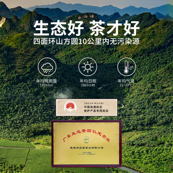 积庆里有机红茶英红九号英德红茶高端茶叶礼盒配礼袋装东方金美人吉300g 积庆里有机红茶英红九号英德红茶高端茶叶礼盒配礼袋装东方金美人吉300g