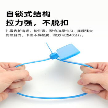 缘巧（【鞋包标签】PP3040（10个装）） RFID超高频扎带标签一次性防拆捆绑式电子标签电线管理单位：个