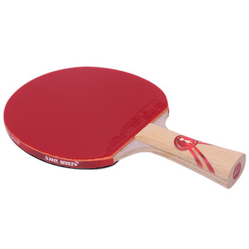 红双喜DHS狂飚乒乓球拍金牌系列马龙GM03专业级明星兵乓球成品拍横拍1只