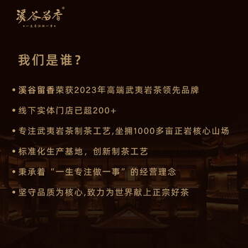 溪谷留香真脉系列 老枞水仙武夷岩茶乌龙茶正岩茶叶盒装100g 送礼礼品