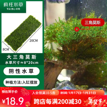 INZOOM BESTCHOI水草用品- 京东