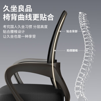 中伟（ZHONGWEI）电脑椅职员椅转椅家用椅子办公椅电竞椅宿舍升降椅-乳胶逍遥尼龙