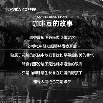 A SOUL ROOT埃塞俄比亚花魁咖啡豆罐装手冲单品中度烘焙200g