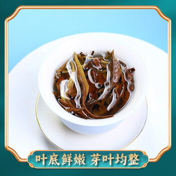 滇吉號茶叶2025年景谷云南月光白大叶种白茶古树白牡丹500克