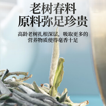 传奇会 茶叶 福鼎白茶白毫银针老白茶3年料冷泡茶散茶小罐装30g自己喝