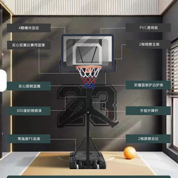 LIVEX青少年篮球架可移动式户外室内外篮球框可升级投篮训练 新年礼物
