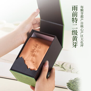 霍山黄茶黄茶大化坪霍山黄芽特二级100克2025年雨前盒装