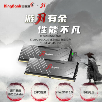 金百达（KINGBANK）32GB(16GBX2)套装 DDR5 6800 台式机内存条海力士A-die颗粒 黑刃无灯 C34 Deepseek硬件